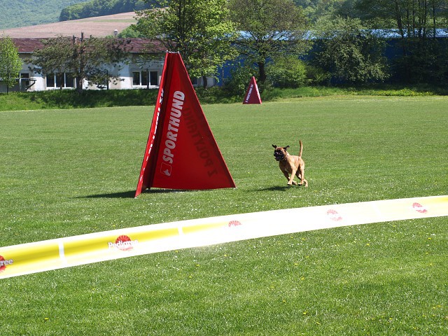 www.atibox.net * www.euroboxer.eu * www.boxergenealogia.eu